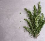 Rosemary