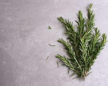 Rosemary