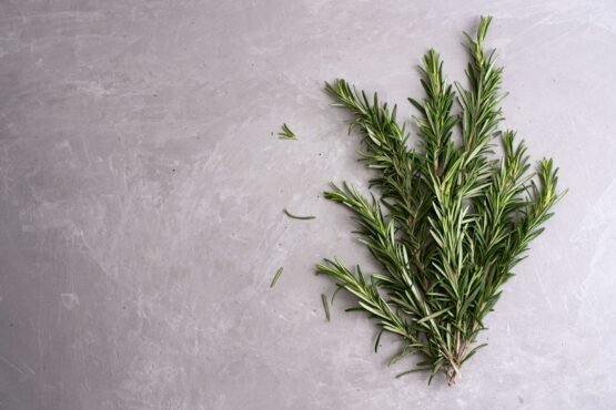 Rosemary