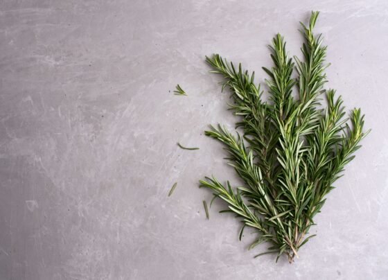 Rosemary